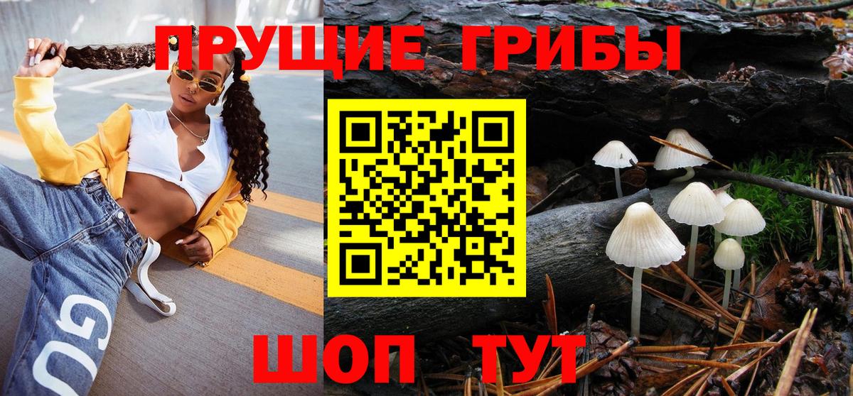 Чистополь  Галлюциногенные грибы MAGIC MUSHROOMS  Псилоцибиновые грибы мухоморы  купить закладку  Вход с VPN 