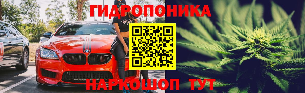 Канабис SATIVA & INDICA  МАРИХУАНА THC 21%  Бошки марихуана VHQ  Чистополь  Вход с VPN 